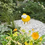 Appartamento Ah Carinthia - Carinthia Mallnitz