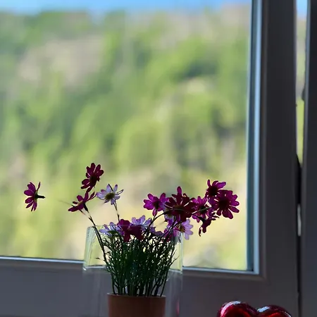 Ah Carinthia - Carinthia Апартаменты *