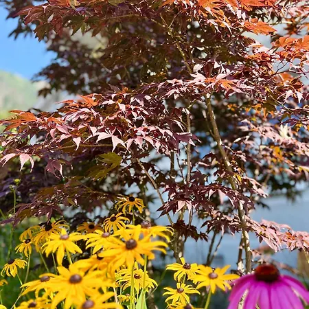 Апартаменты Ah Carinthia - Carinthia *