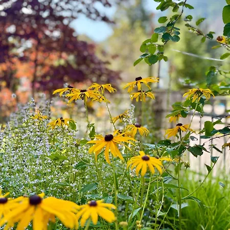 公寓 Ah Carinthia - Carinthia