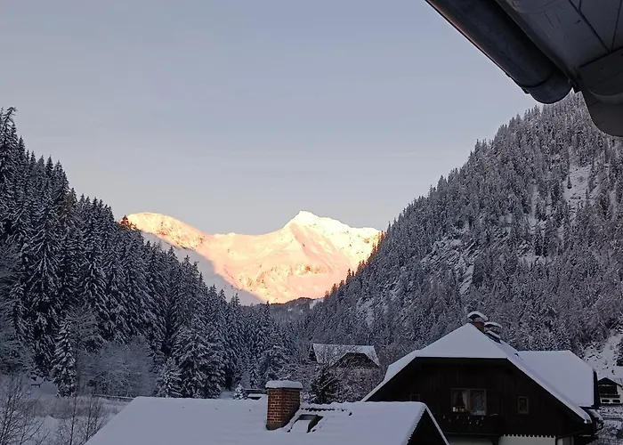 Ah Carinthia - Carinthia Lejlighed *