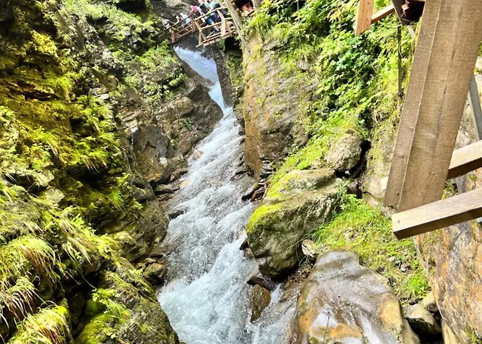 Ah Carinthia - Carinthia * מאלניץ