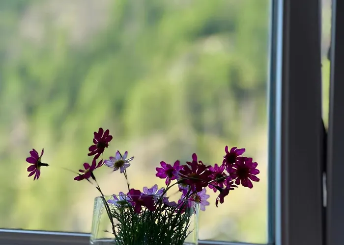 Ah Carinthia - Carinthia Daire *