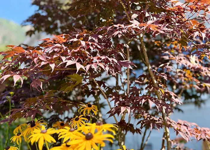 Lejlighed Ah Carinthia - Carinthia *