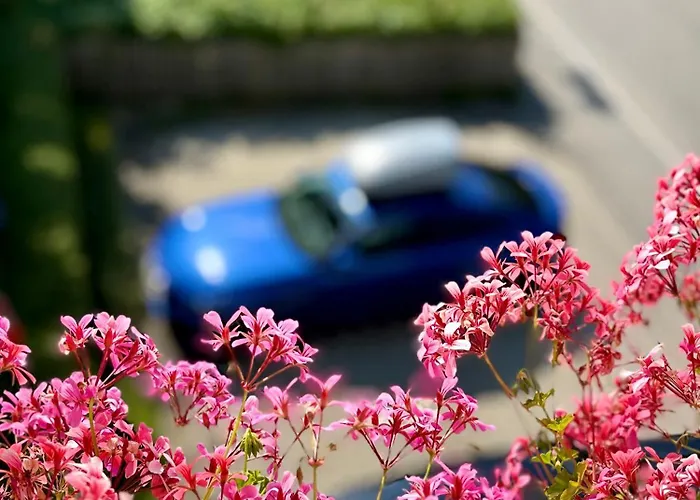 Ah Carinthia - Carinthia