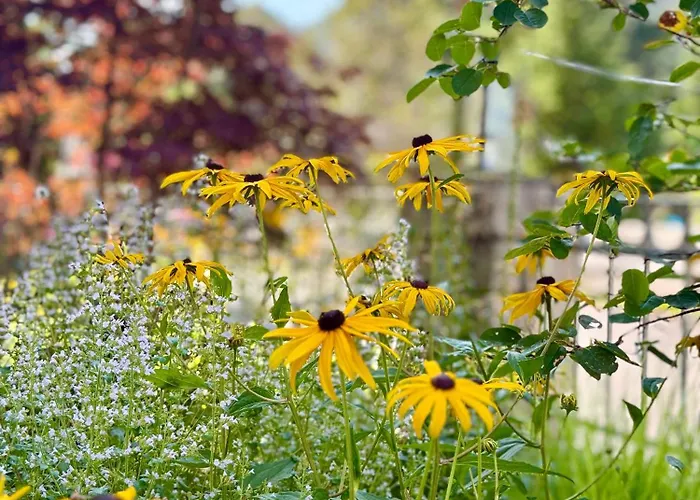 דירה Ah Carinthia - Carinthia