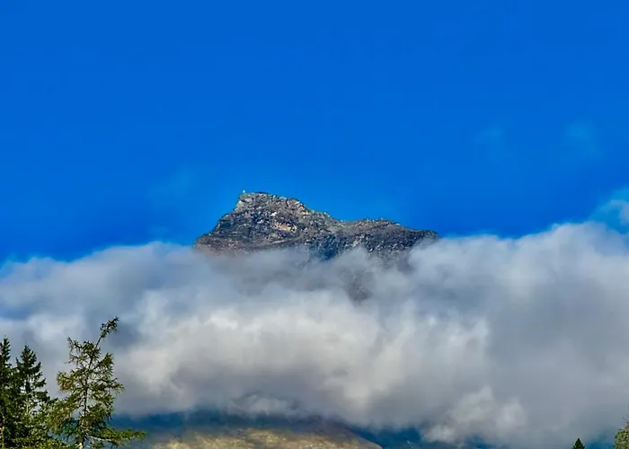 Ah Carinthia - Carinthia Lejlighed