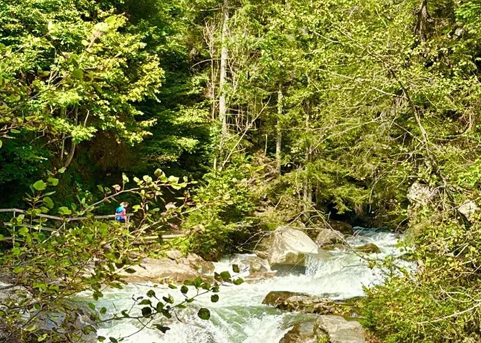 דירה Ah Carinthia - Carinthia מאלניץ